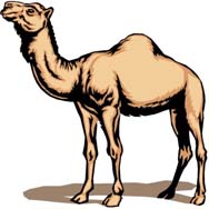 Illustrations by Manish Verma : Click to Enlarge