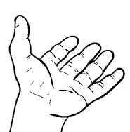 Illustrations by Manish Verma : Click to Enlarge