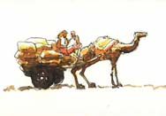 Illustrations by Manish Verma : Click to Enlarge